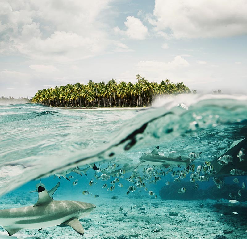 ocean-land-photo